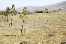 Nationwide tree-planting day celebrated